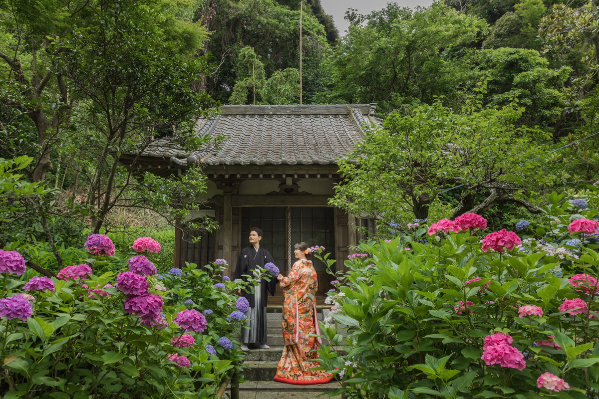 紫陽花がきれいなお寺での撮影