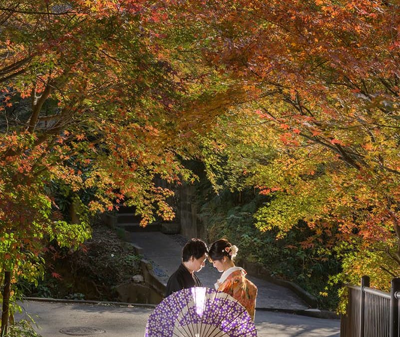 お客様の声 2023.11.27 T様T様