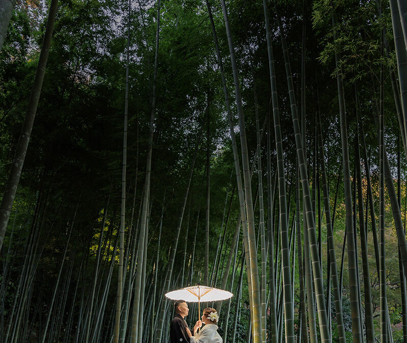 お客様の声 2023.11.28 Y様Y様