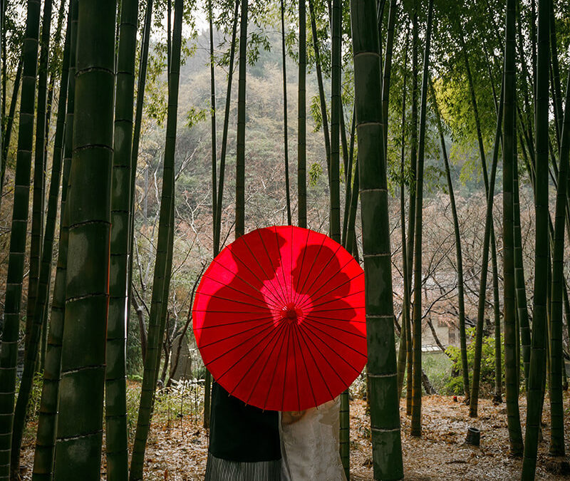 お客様の声 2024.03.25 O様U様