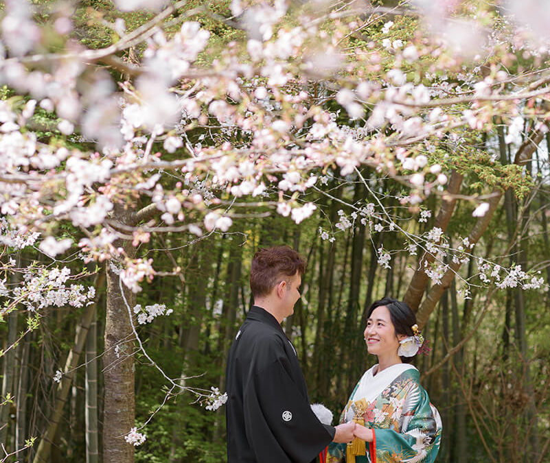 お客様の声 2024.04.02 B様Z様