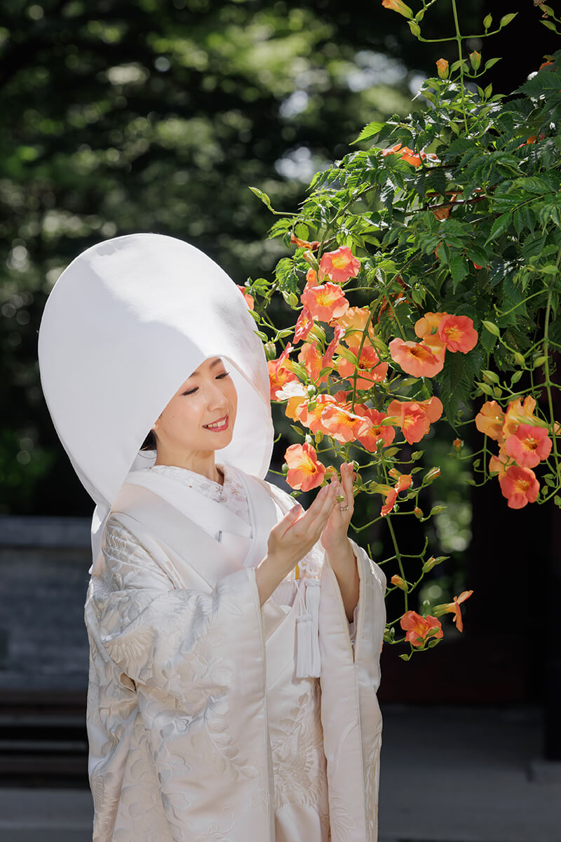 wataboushi-main 綿帽子2023.07.02