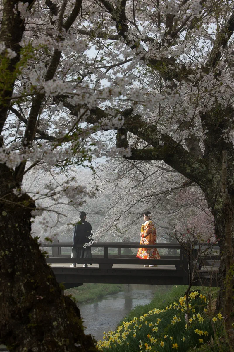 鎌倉の緑深い山奥で、色打掛の新郎新婦が印象的な階段を背景に和装前撮りを行うウェディングフォト