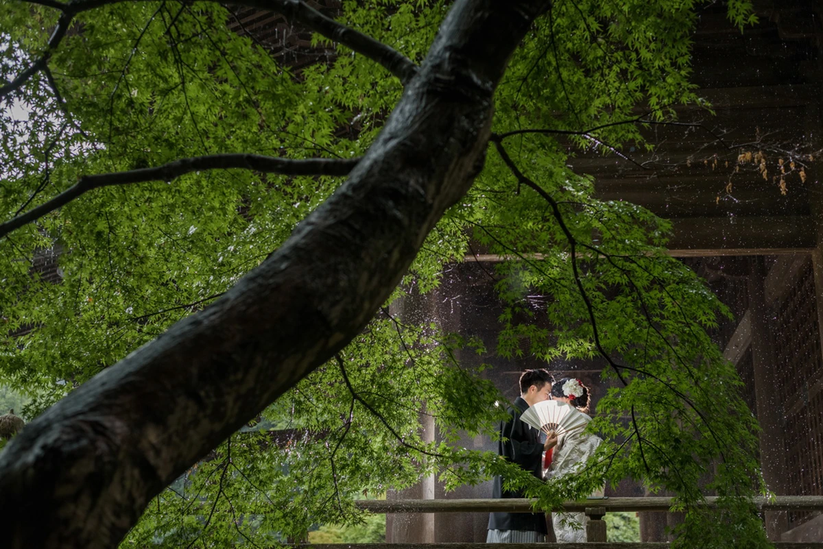 campain_kamakura_album05
