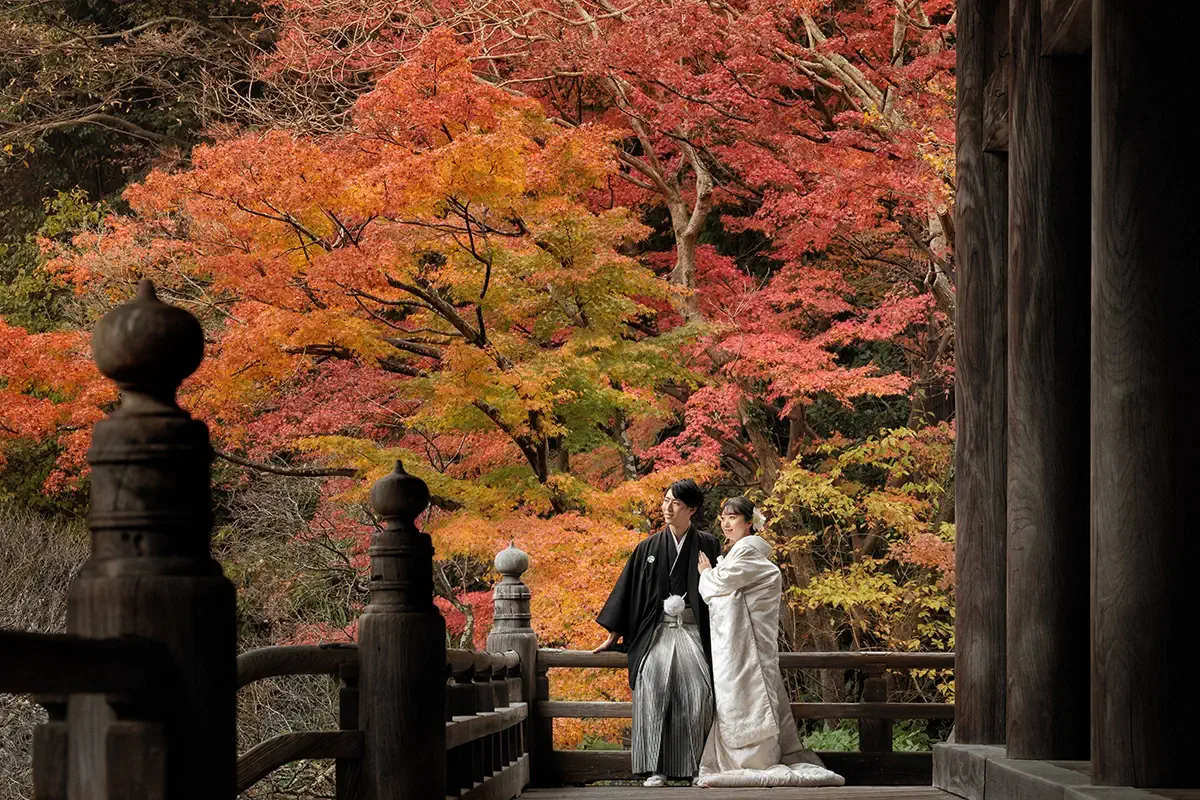 focus_autumnleaves01 鎌倉・瑞泉寺の山奥で色打掛の和装前撮り、自然に囲まれた静かな婚礼ウェディングフォト