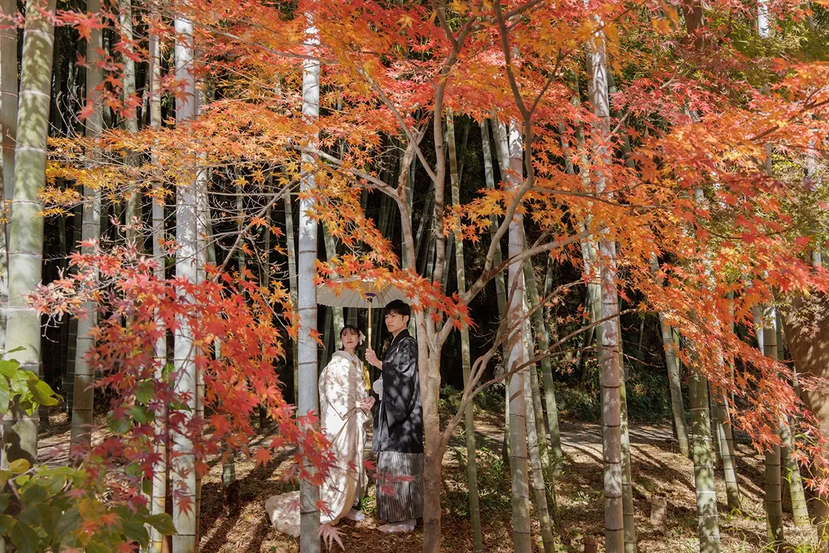 focus_autumnleaves02 緑に囲まれた瑞泉寺庭園での洋装ウェディングフォト。鎌倉の静かな環境で前撮り撮影