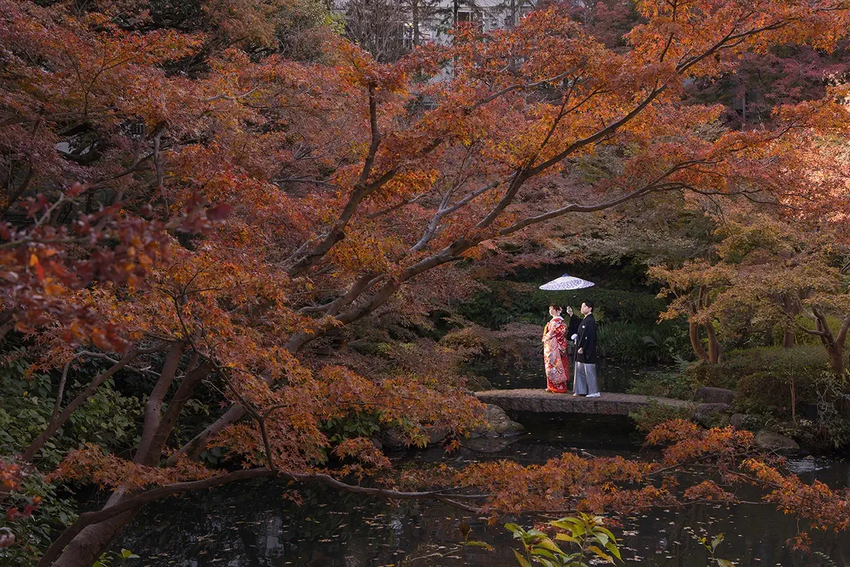 focus_autumnleaves10 鎌倉の竹林お寺ので色打掛を着た新郎新婦が前撮り。和装での婚礼ウェディングフォト撮影