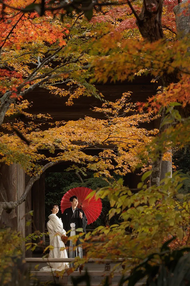 鎌倉の緑深い山奥で、色打掛の新郎新婦が印象的な階段を背景に和装前撮りを行うウェディングフォト
