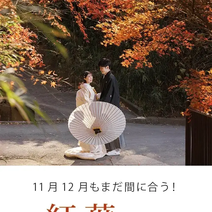 【特集】鎌倉も全国も 紅葉前撮り特集