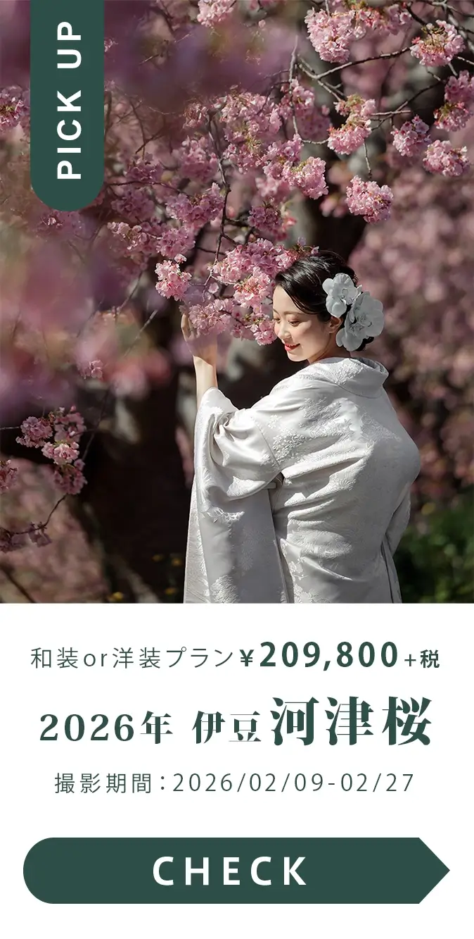 2026年　伊豆河津桜　撮影