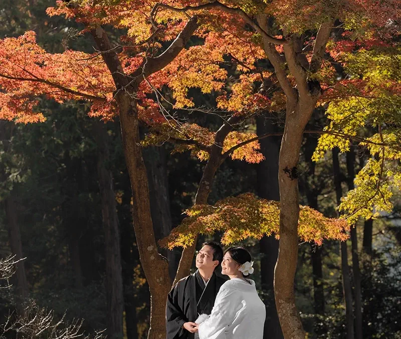 紅葉シーズンのおすすめ