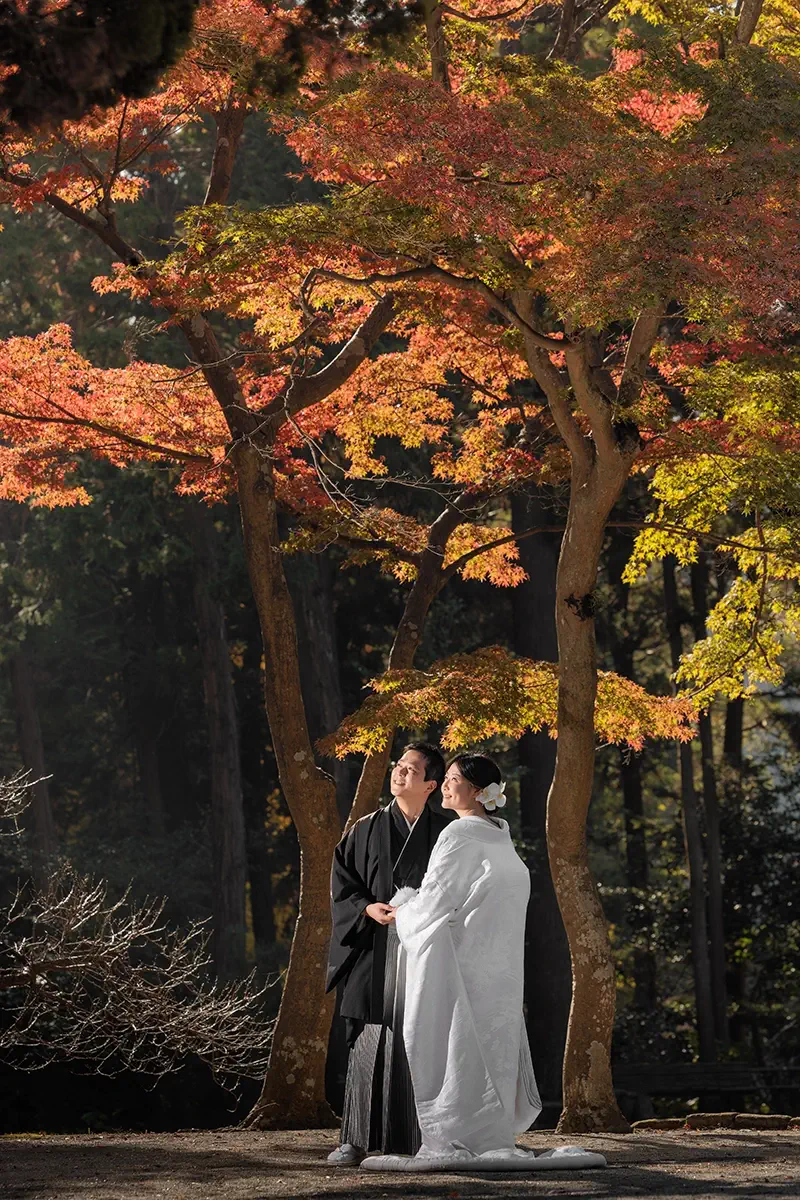 紅葉シーズンのおすすめ ｜鎌倉・横浜・東京の和装・洋装（ドレス