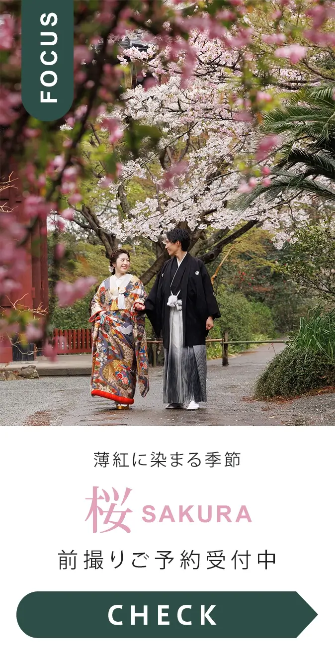 桜の前撮り撮影　受付中