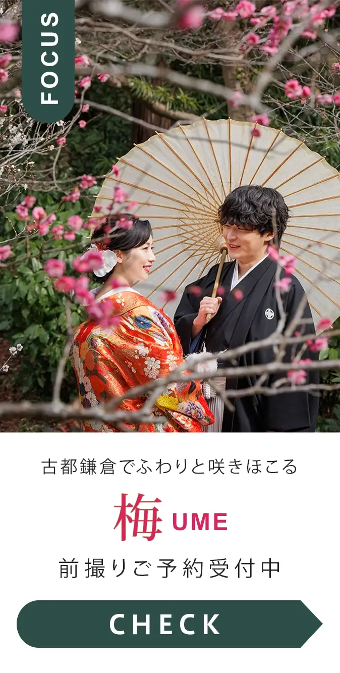 梅の前撮り撮影　受付中