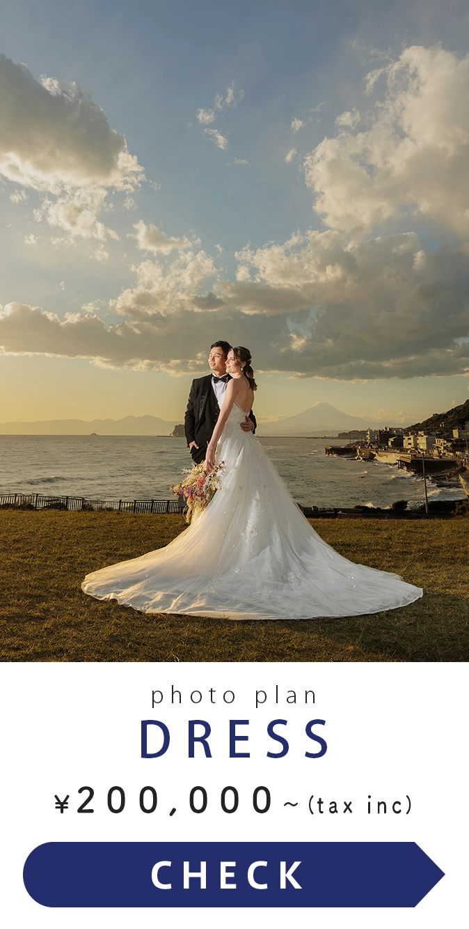 photo plan Dress