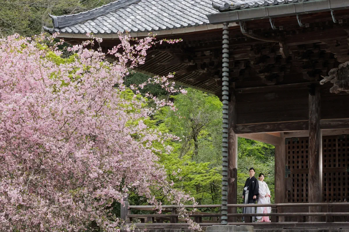 鎌倉・瑞泉寺の山奥で色打掛の和装前撮り、自然に囲まれた静かな婚礼ウェディングフォト