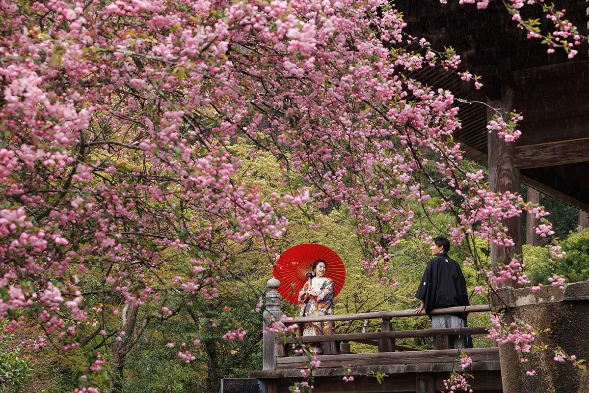 緑に囲まれた瑞泉寺庭園での洋装ウェディングフォト。鎌倉の静かな環境で前撮り撮影