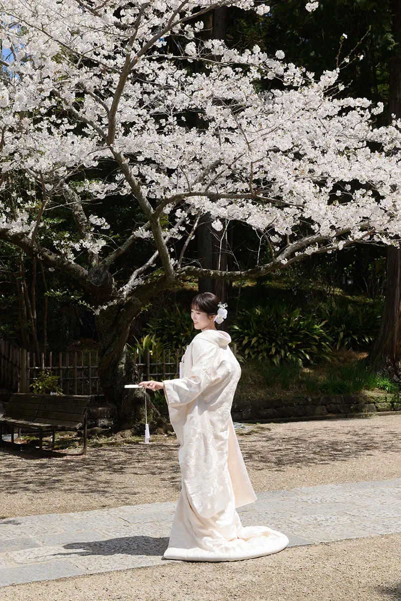 鎌倉・瑞泉寺の山奥で色打掛の和装前撮り、自然に囲まれた静かな婚礼ウェディングフォト
