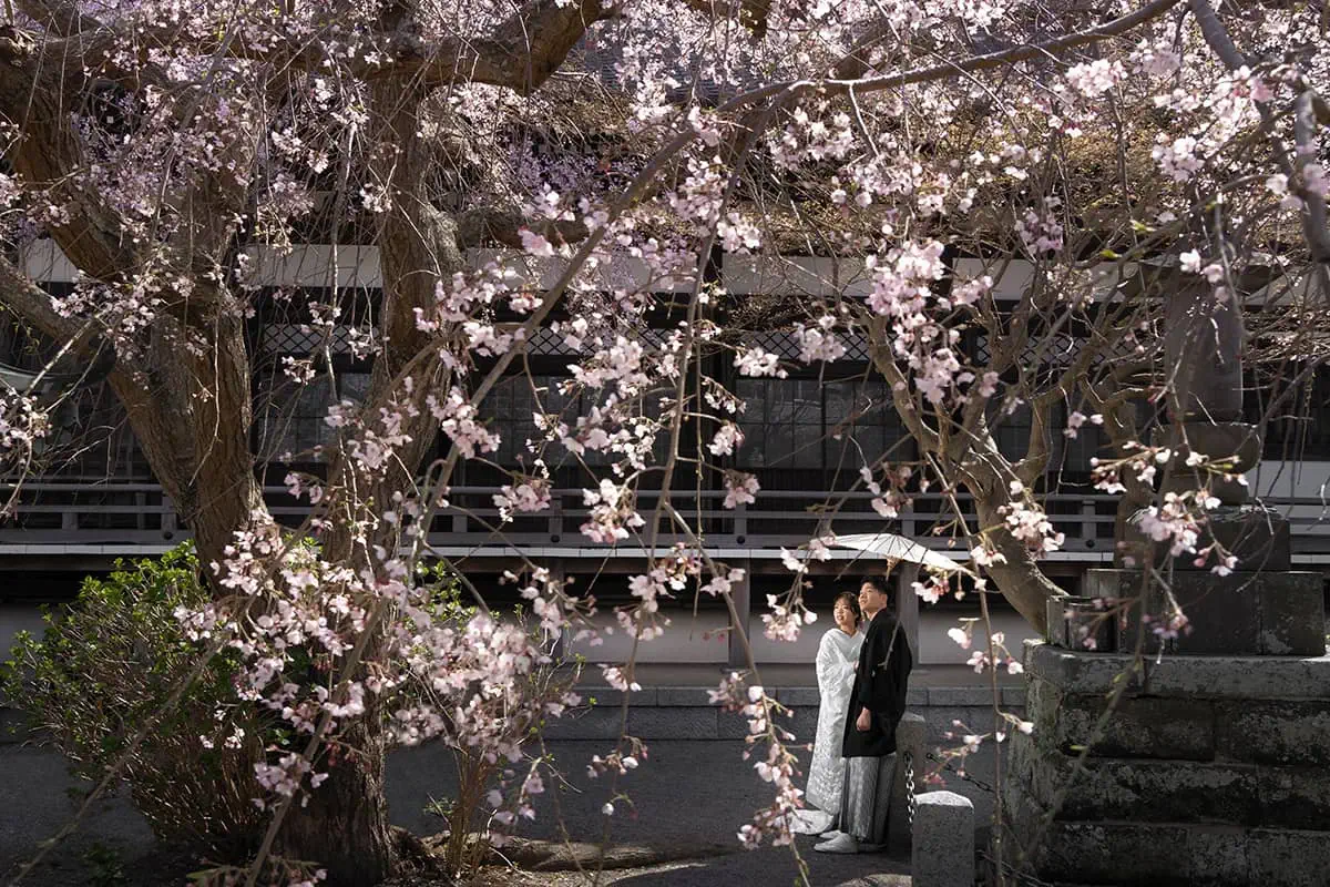 鎌倉・瑞泉寺の山奥で色打掛の和装前撮り、自然に囲まれた静かな婚礼ウェディングフォト