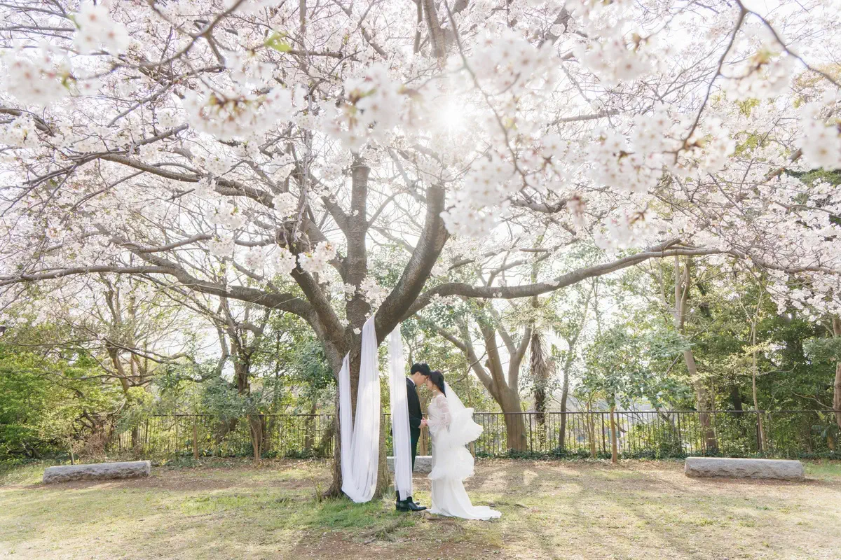鎌倉・瑞泉寺の山奥で色打掛の和装前撮り、自然に囲まれた静かな婚礼ウェディングフォト
