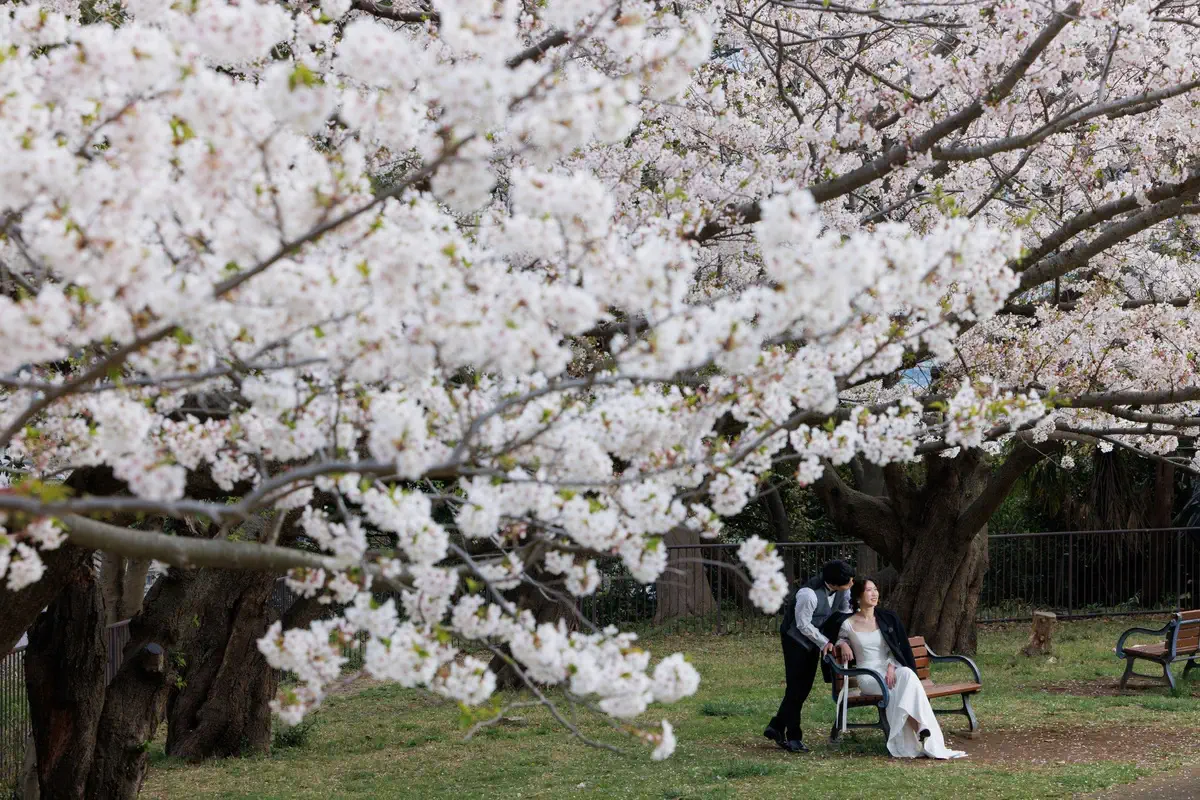 鎌倉・瑞泉寺の山奥で色打掛の和装前撮り、自然に囲まれた静かな婚礼ウェディングフォト