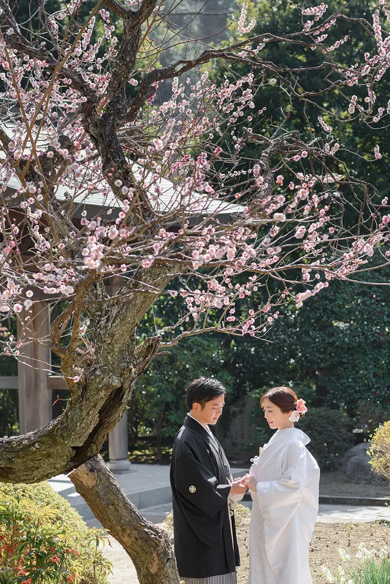 鎌倉・瑞泉寺の山奥で色打掛の和装前撮り、自然に囲まれた静かな婚礼ウェディングフォト