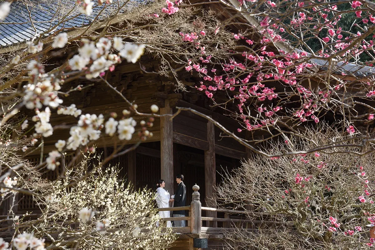 鎌倉・瑞泉寺の山奥で色打掛の和装前撮り、自然に囲まれた静かな婚礼ウェディングフォト