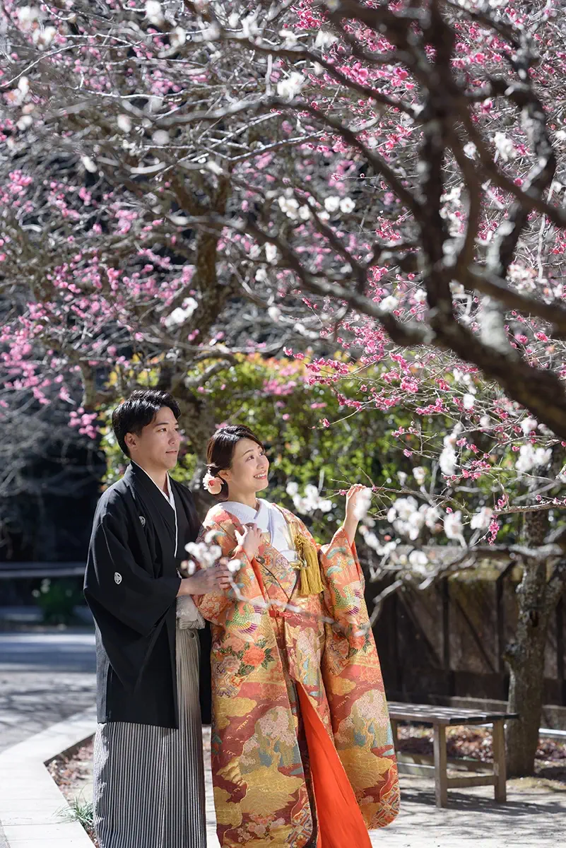 focus_ume2026_main 鎌倉の緑深い山奥で、色打掛の新郎新婦が印象的な階段を背景に和装前撮りを行うウェディングフォト