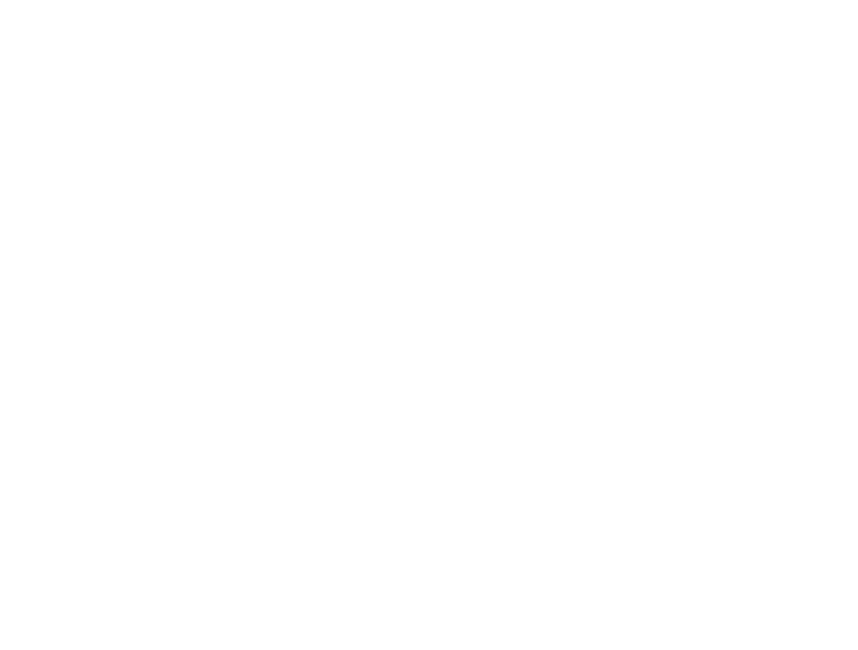 For our overseas guests