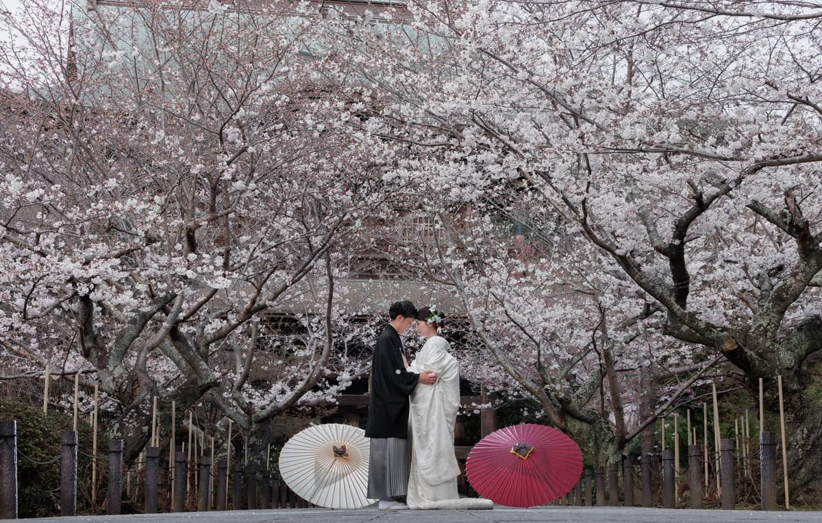 エンゲージメント　ロケーション撮影