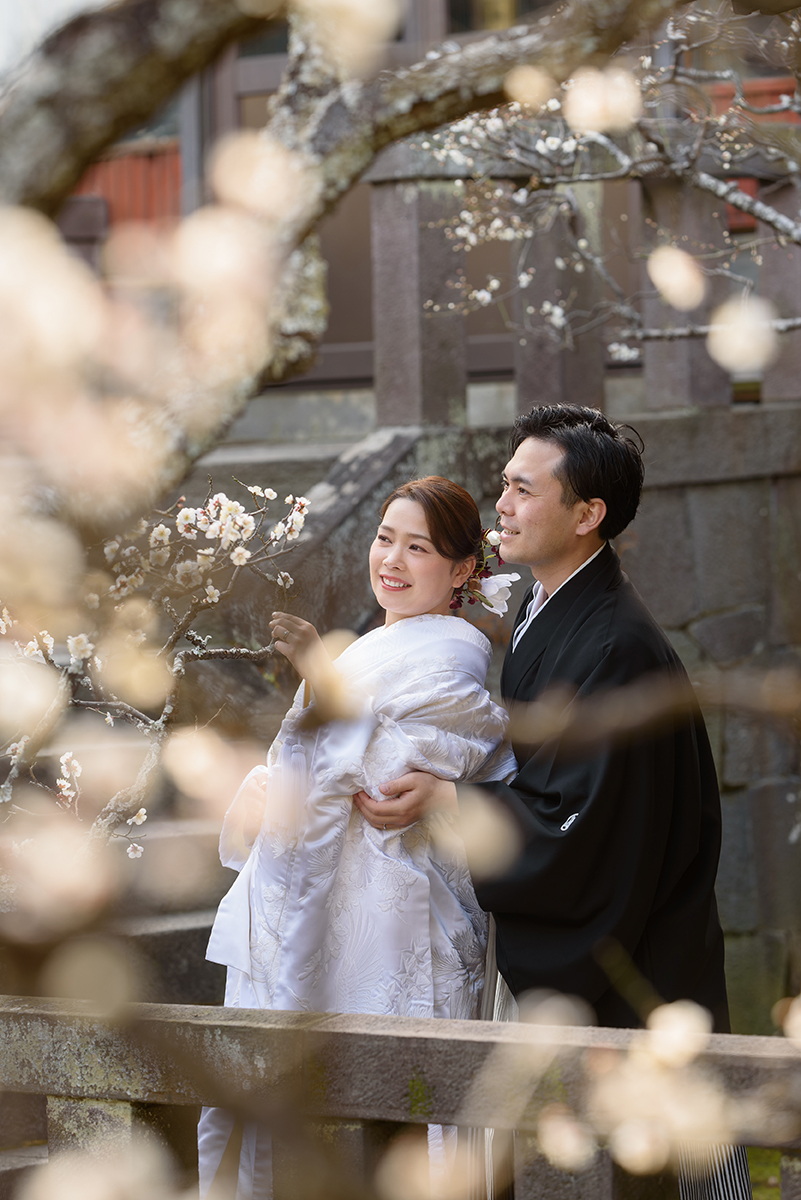 鎌倉の緑深い山奥で、色打掛の新郎新婦が印象的な階段を背景に和装前撮りを行うウェディングフォト