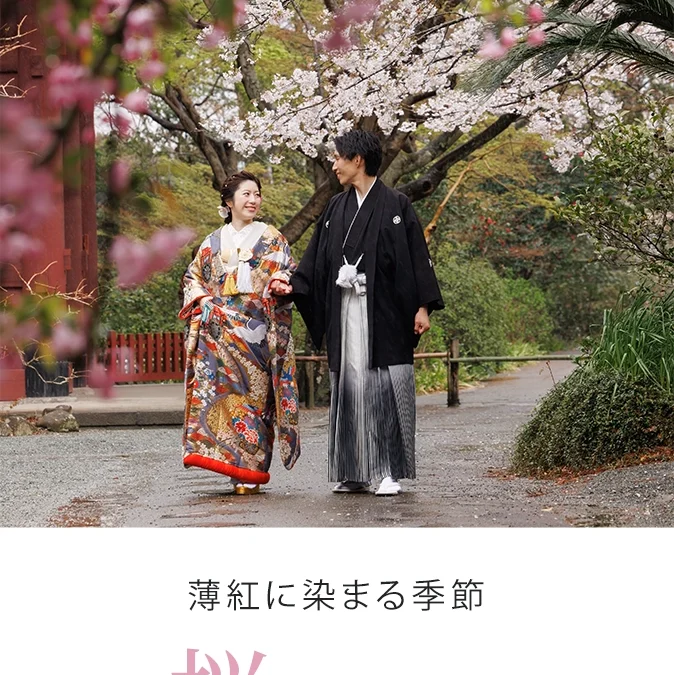 【特集】桜ゆらぐ、春のウェディングフォト