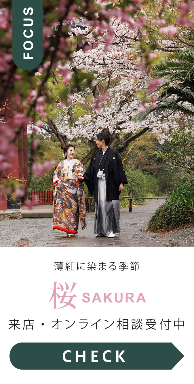 鎌倉　桜ロケーション撮影