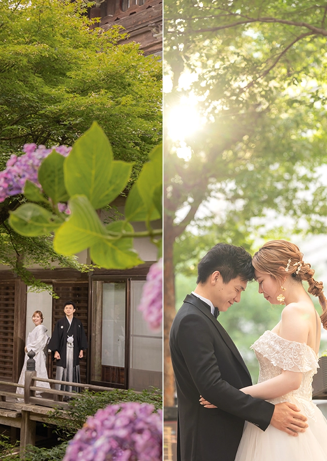 鎌倉　凛プラン