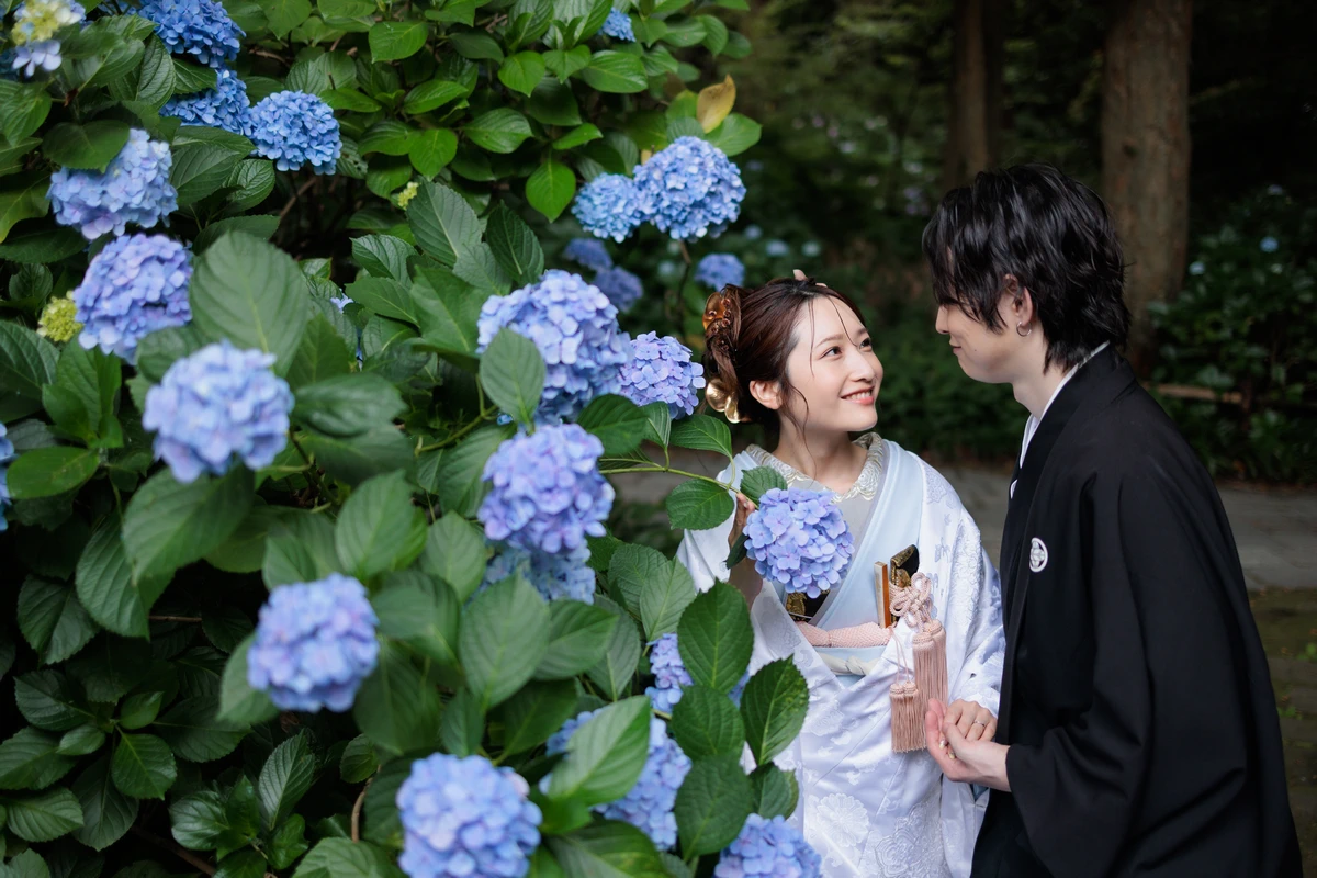 妙本寺で紫陽花と和装のお二人