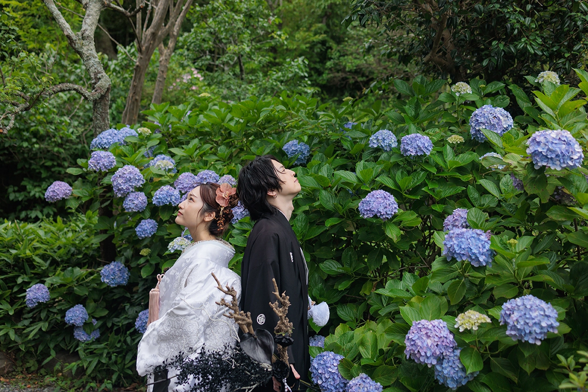 初夏の鎌倉で紫陽花と撮影した前撮り写真