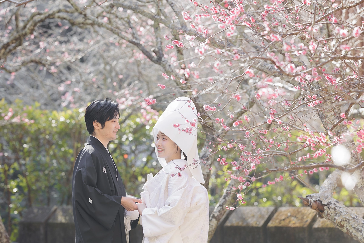 梅の花が咲く鎌倉 妙本寺で撮影した冬の和装前撮り