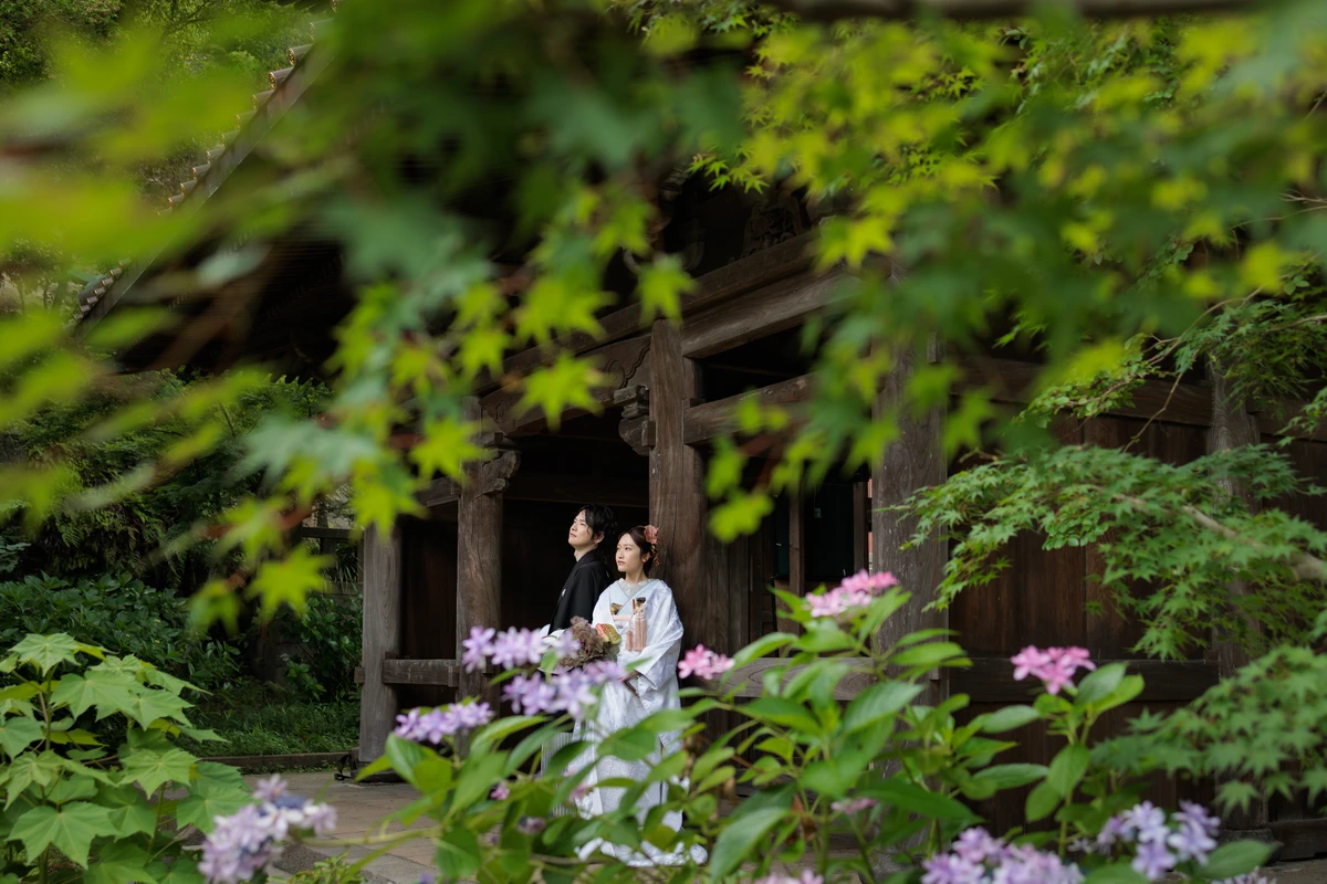竹林のお寺でみどりのもみじと紫陽花と。新郎新婦が美しい景色をながめる