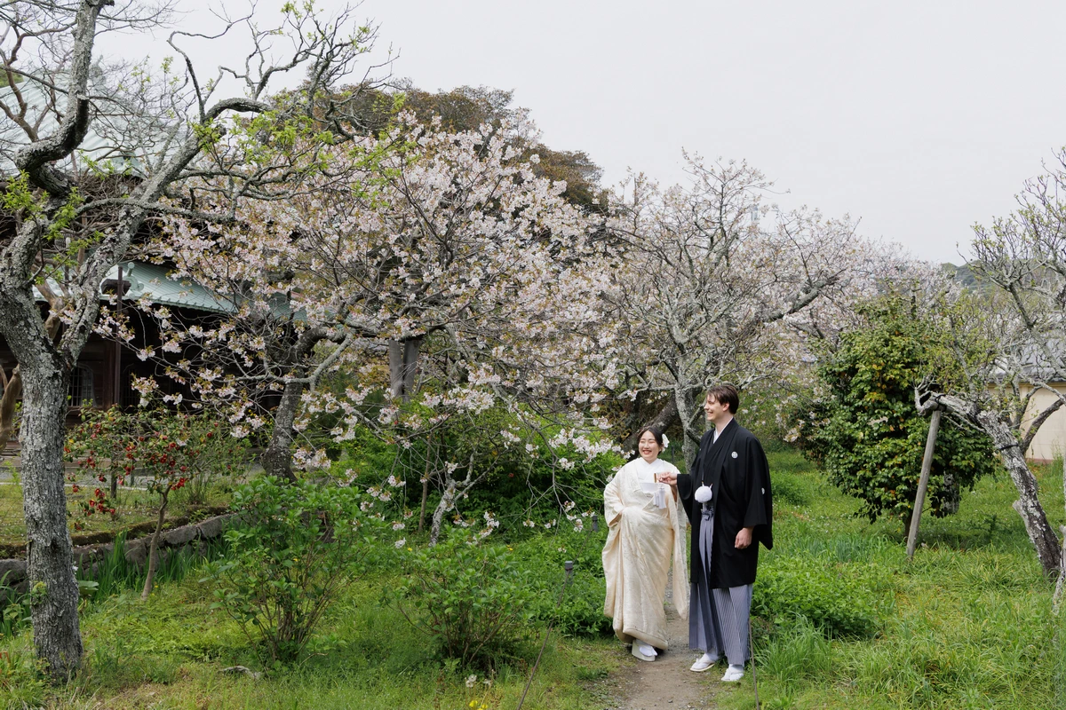 桜と新緑が美しい竹林のお寺。白無垢と紋付き袴の新郎新婦