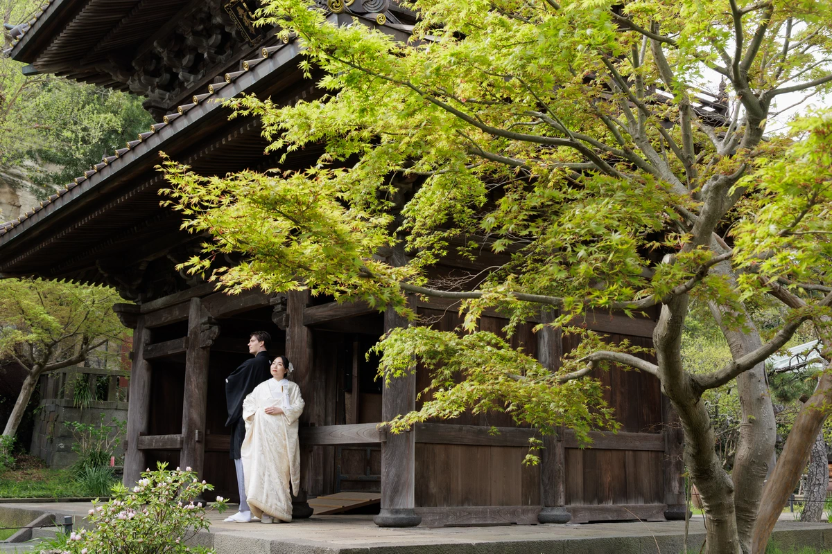 新緑の時期に、竹林のお寺で山門を背景に和装の新郎新婦