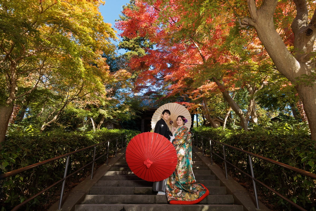 鎌倉円覚寺の紅葉に囲まれた石段で、色打掛姿の花嫁と紋付袴の新郎が番傘を手に撮影した鎌倉和装前撮り・フォトウェディング