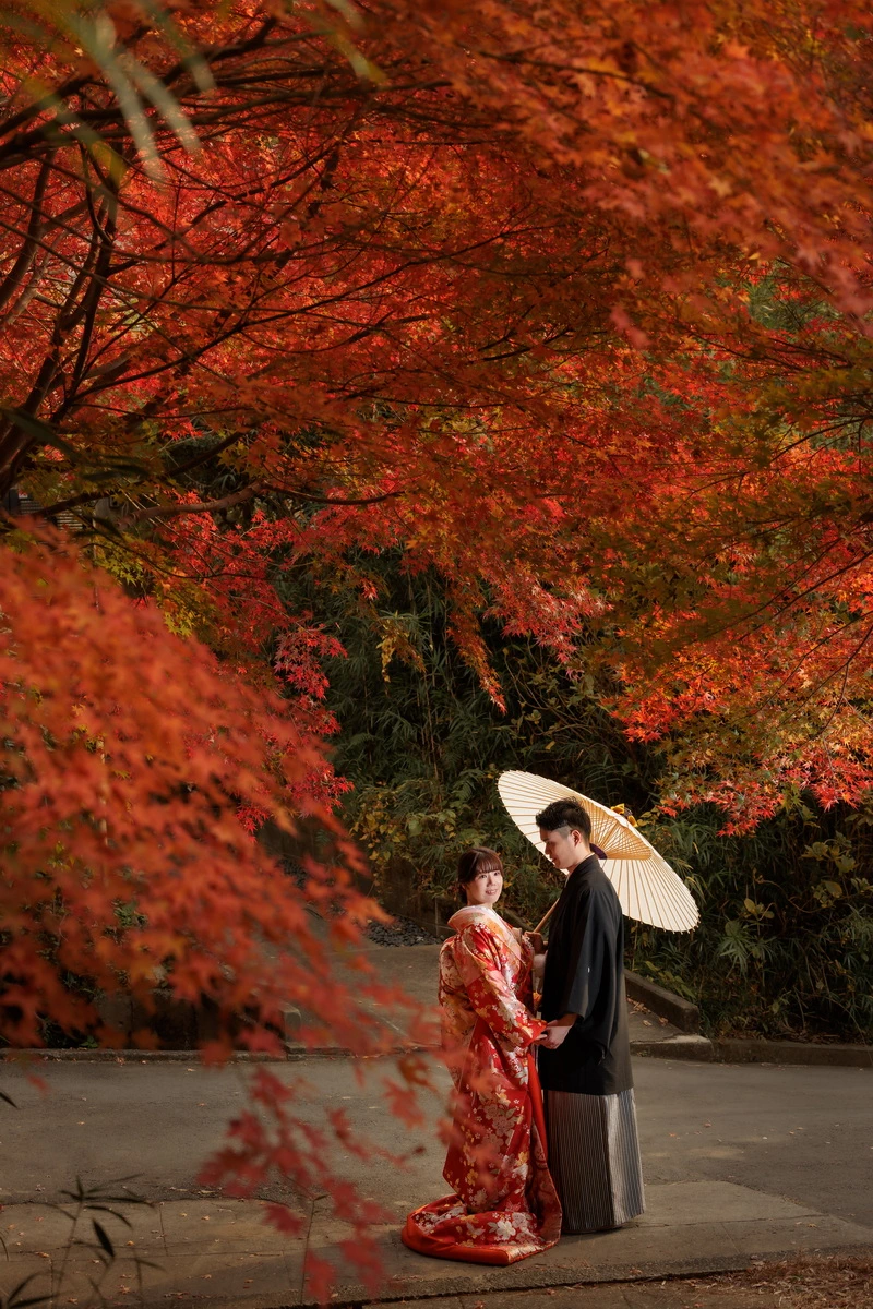 鎌倉建長寺の紅葉スポットで色打掛を着た花嫁と紋付袴の新郎が撮影した和装前撮り。鮮やかな紅葉に囲まれた秋のフォトウェディング