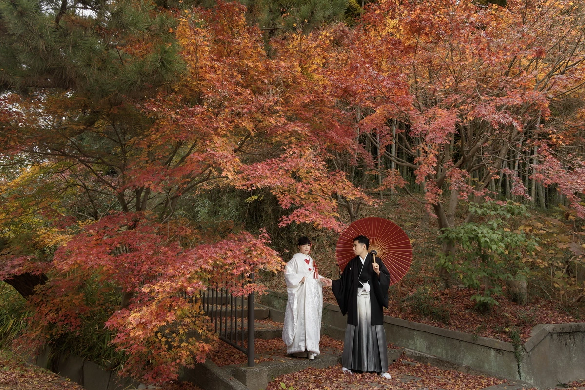 鎌倉・建長寺の紅葉が色づく境内で撮影した白無垢の和装前撮り。秋の自然と番傘が彩るフォトウェディング