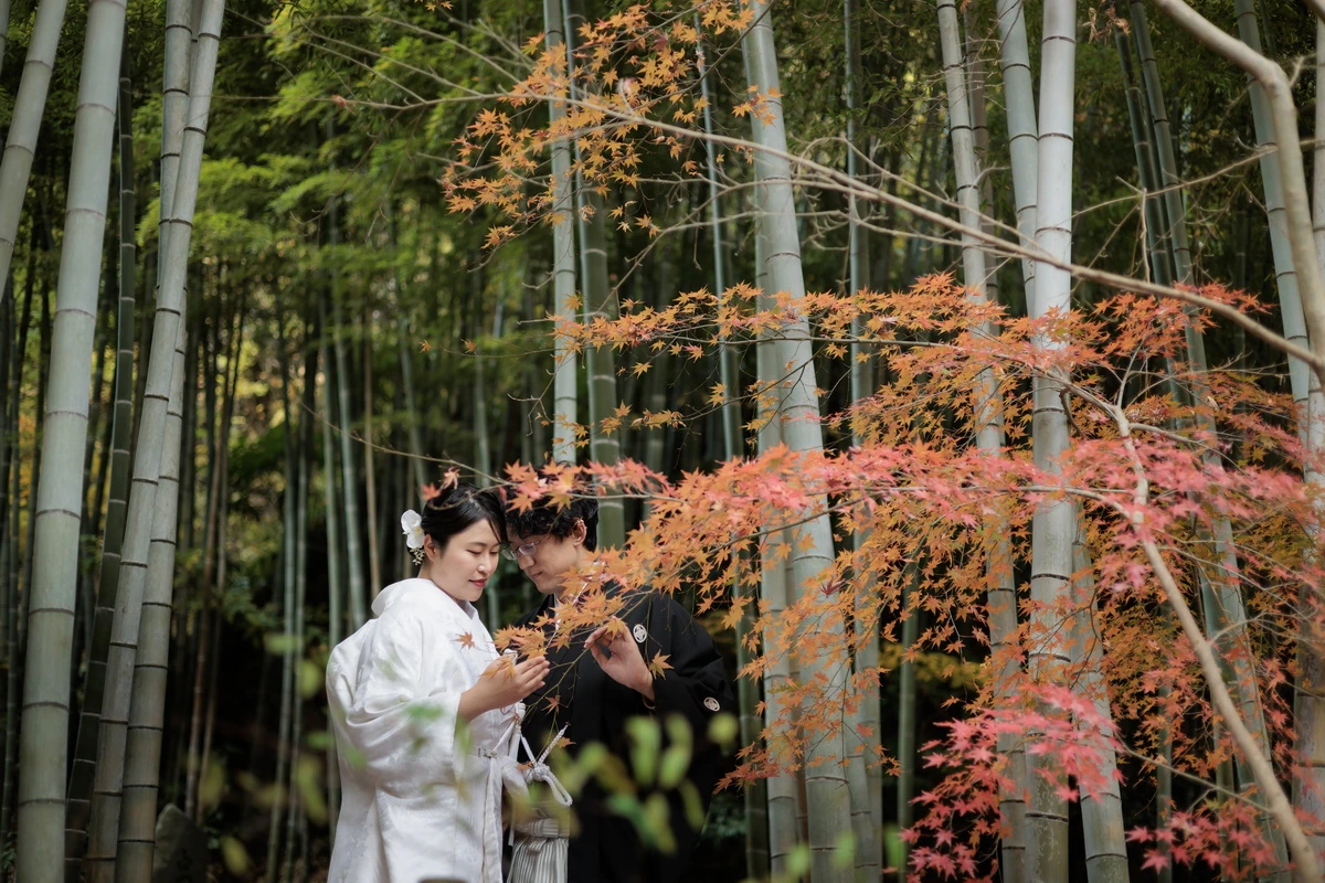 鎌倉・建長寺の竹林と紅葉が美しい境内で、白無垢姿の花嫁と紋付袴の新郎を撮影した鎌倉和装前撮り・フォトウェディング