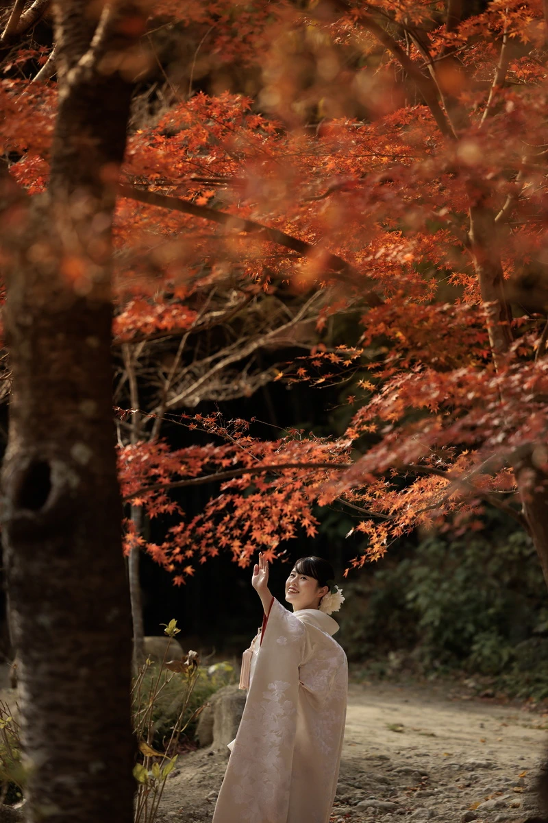 鎌倉・建長寺の紅葉が広がる境内で、白無垢姿の花嫁がもみじを見上げる秋の和装前撮り・フォトウェディング