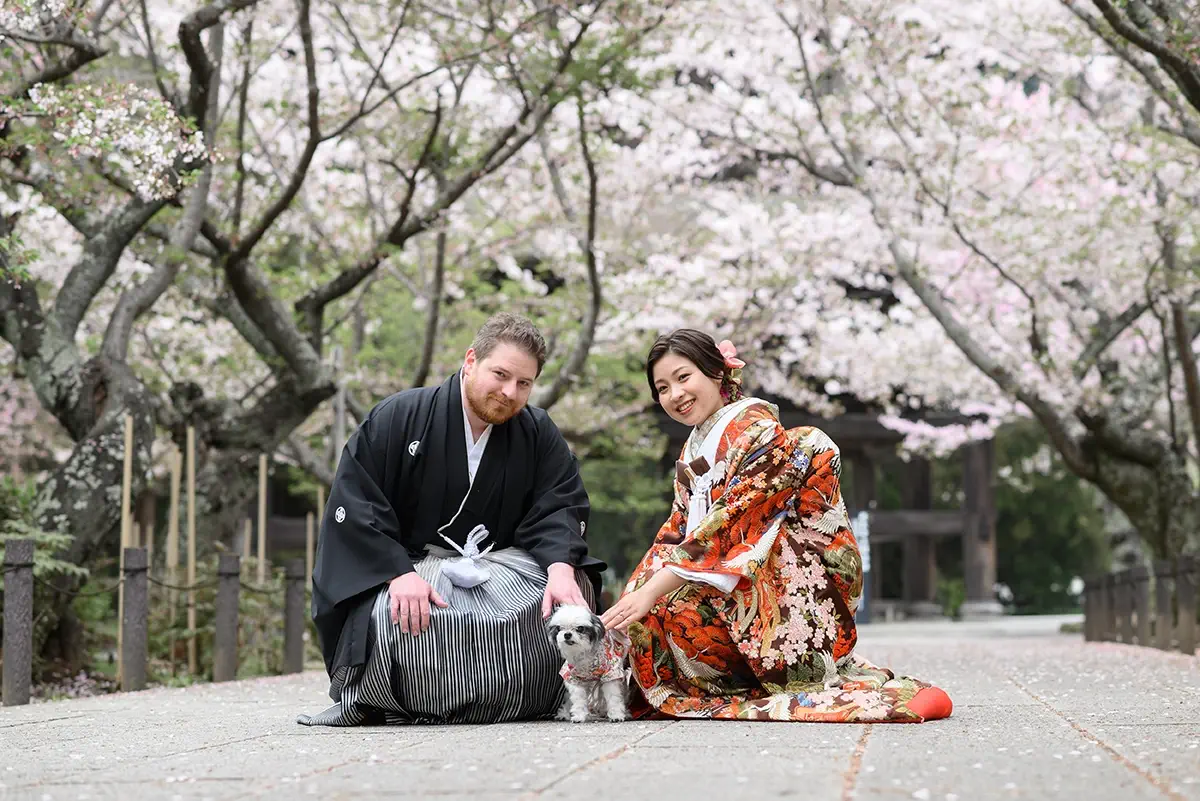 鎌倉・建長寺の桜並木で愛犬と一緒に撮影する和装前撮り・フォトウェディング