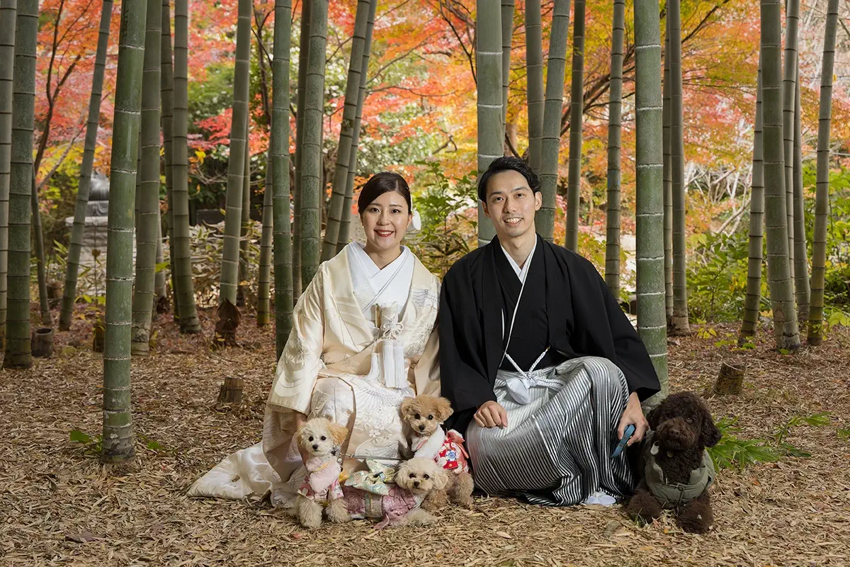 鎌倉の紅葉が美しい建長寺の竹林で犬と撮影する和装前撮り・フォトウェディング