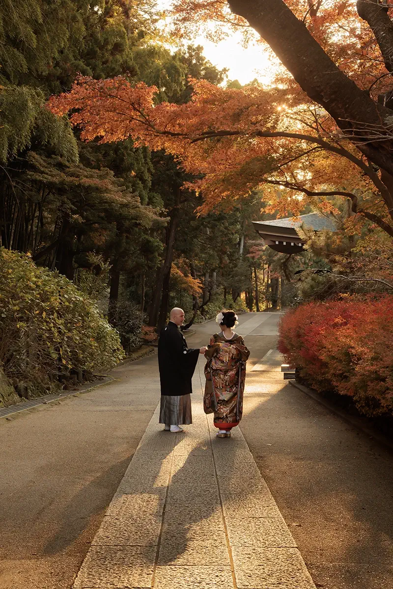 鎌倉・円覚寺の紅葉と夕日を背景に色打掛で和装前撮りをする新郎新婦