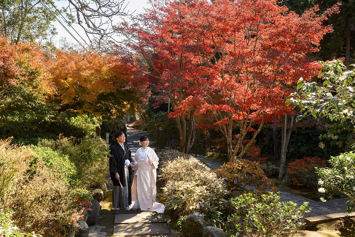 秋の鎌倉・海蔵寺で色鮮やかな紅葉に囲まれて撮影した和装前撮り