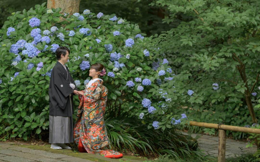 紫陽花シーズンのおすすめ